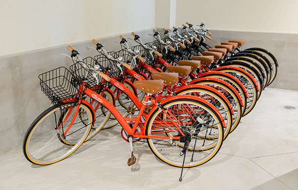 Rental Bikes