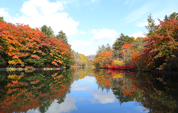 Kumoba Pond