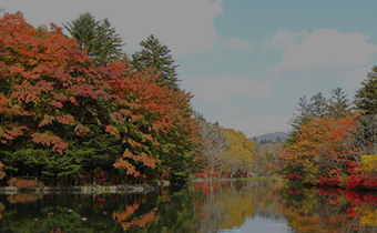 秋を感じる癒し旅 軽井沢周辺の紅葉スポット