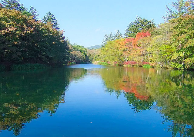 雲場池／軽井沢町