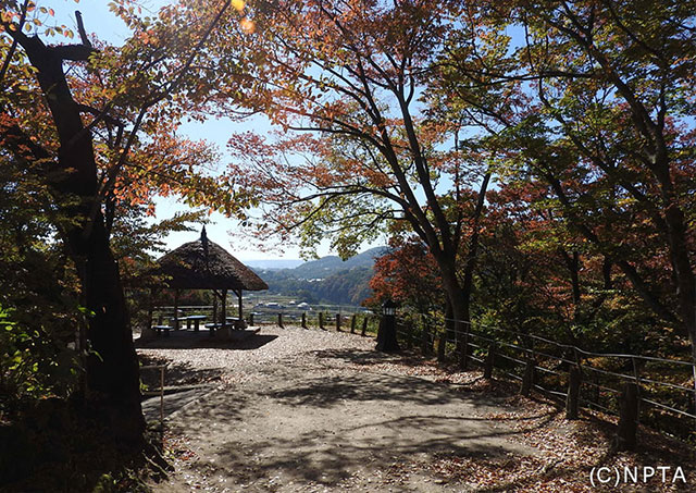 懐古園紅葉祭り／小諸市