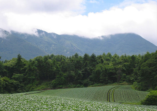 嬬恋村／群馬県吾妻郡