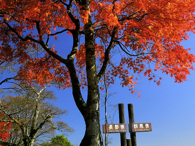 旧碓氷峠見晴台